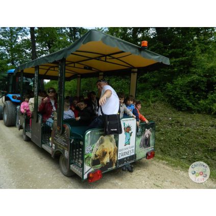 Excursie de o zi la Zarnesti  #childrentour