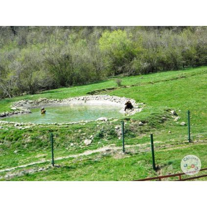 Excursie de o zi la Zarnesti  #childrentour