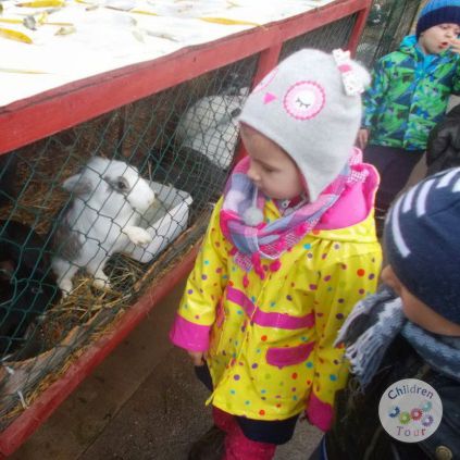 Vizita la Ferma Animalelor #childrentour