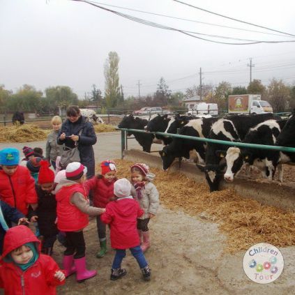 Vizita la Ferma Animalelor #childrentour