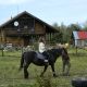 Excursie de 3 zile la Rasnov #childrentour