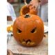 Excursie de Halloween la Ferma Pedagogica Sabareni #childrentour