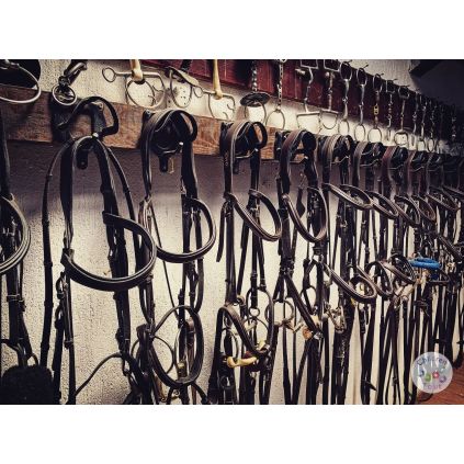 Excursie la Regatul Cailor Varlam #childrentour