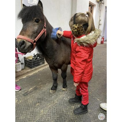 Excursie la Regatul Cailor Varlam #childrentour