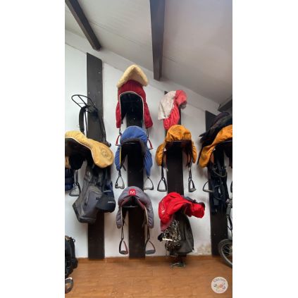 Excursie la Regatul Cailor Varlaam, cu activitati incluse #childrentour