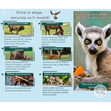 Excursii si activitati pentru Scoala Altfel 2026 #childrentour