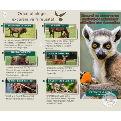 Excursii scolare pentru Saptamana Verde 2026 #childrentour