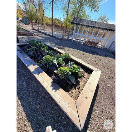 Excursie 'Micul Gradinar' la Urziceni cu activitati incluse #childrentour