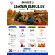 Excursii si activitati pentru Scoala Altfel 2026 #childrentour