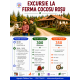 Excursii scolare pentru Saptamana Verde 2026 #childrentour