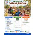 Excursie la Ferma Ograda Bunicilor, cu activitati incluse #childrentour