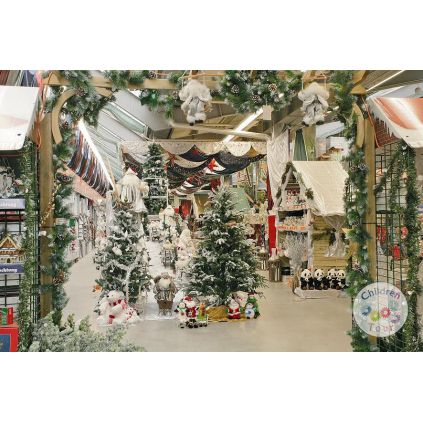 Excursie la Targul de Craciun din Brasov   #childrentour